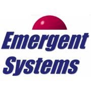 Emergent Systems